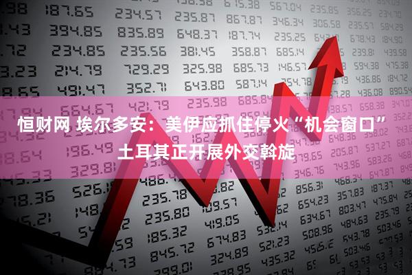 恒财网 埃尔多安：美伊应抓住停火“机会窗口” 土耳其正开展外交斡旋