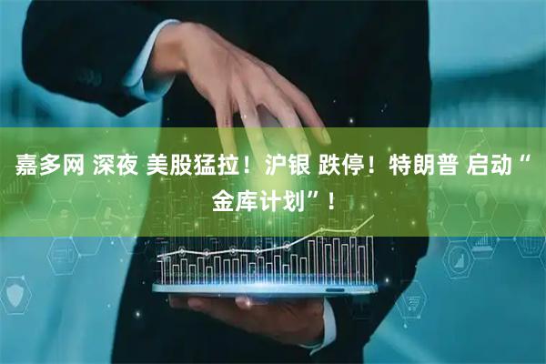 嘉多网 深夜 美股猛拉！沪银 跌停！特朗普 启动“金库计划”！