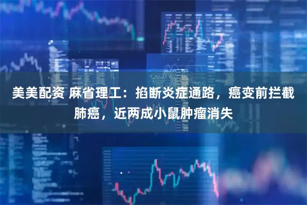 美美配资 麻省理工：掐断炎症通路，癌变前拦截肺癌，近两成小鼠肿瘤消失